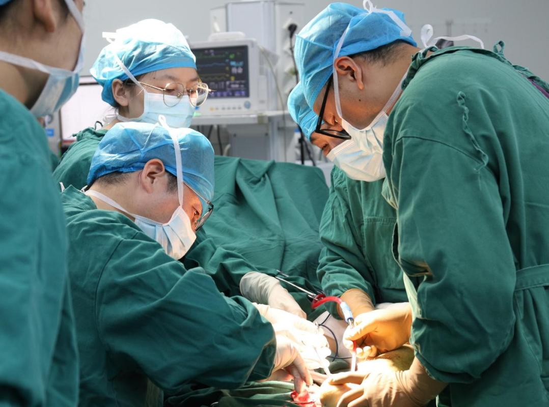 图片27.png 图片27.png